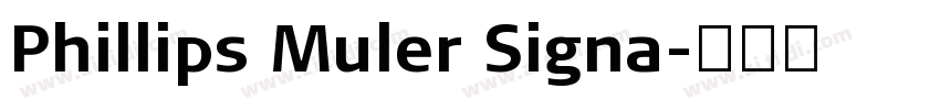Phillips Muler Signa字体转换
